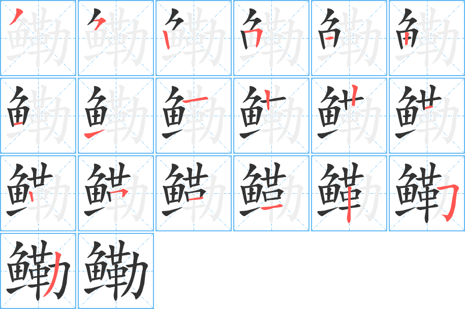 鳓的笔顺分步演示